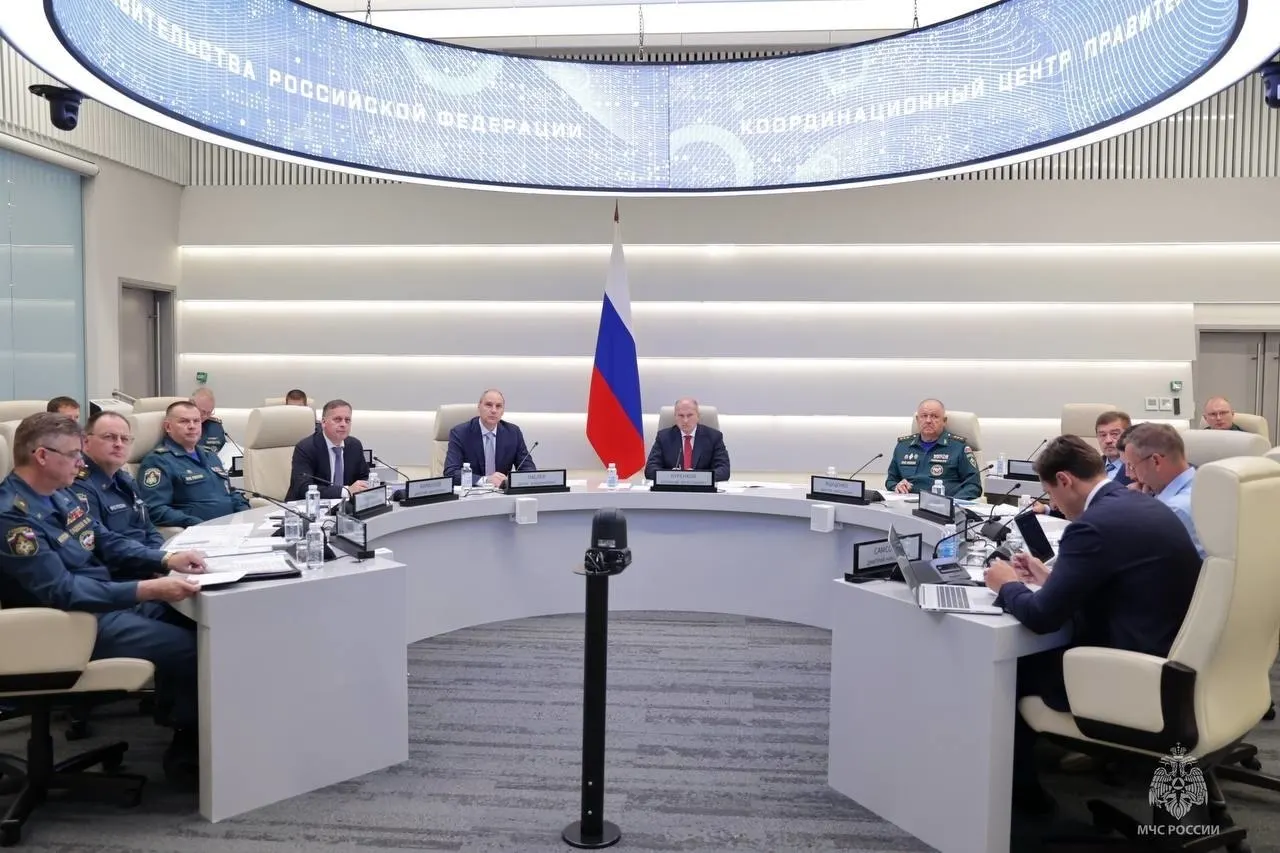 Никулинский районный суд Москвы поместил под домашний арест руководителя финансового департамента МЧС Надежду Голикову по подозрению в особо крупном мошенничестве, связанном с жилищными субсидиями сотрудников ведомства.