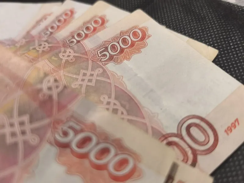Предприятия Петербурга накопили свыше 205 млрд руб. налоговой задолженности; по России общий долг достигает около 4 трлн руб. Эксперты связывают ситуацию с ростом ставок и ужесточением кредитования и предупреждают о риске массовых закрытий малого бизнеса в 2026 году.
