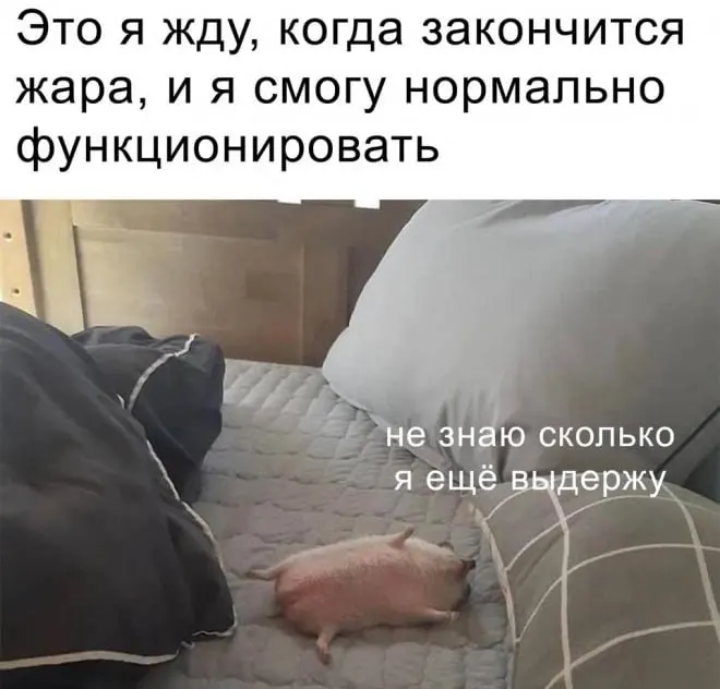 Сегодня в Москве ожидается дневная жара до +28 °C и понижение до +16 °C к вечеру. Местами пройдут кратковременные дожди с грозами. Кроме того, проводится розыгрыш билетов на концерт группы «Ленинград».