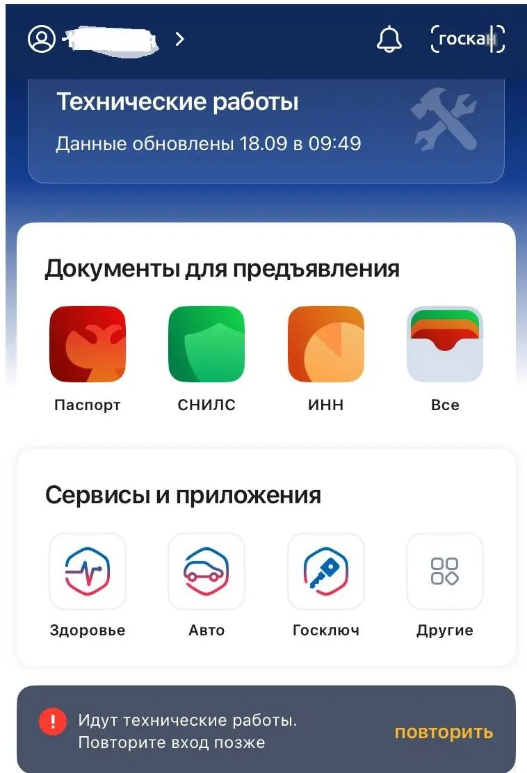Избиратели сообщают о сбоях при входе в Госуслуги для голосования онлайн: система выдает уведомления о технических работах; в Москве наблюдается аналогичная задержка.