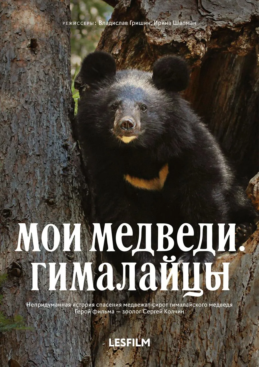 Международный фестиваль экологического документального кино «Экочашка» пройдет в октябре в Москве и Санкт-Петербурге, покажет фильмы о взаимосвязях в мире.