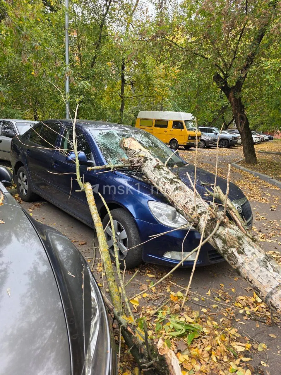 Непогода продлится весь день; порывы ветра достигнут скорости до 17 м/с в Москве и Московской области.