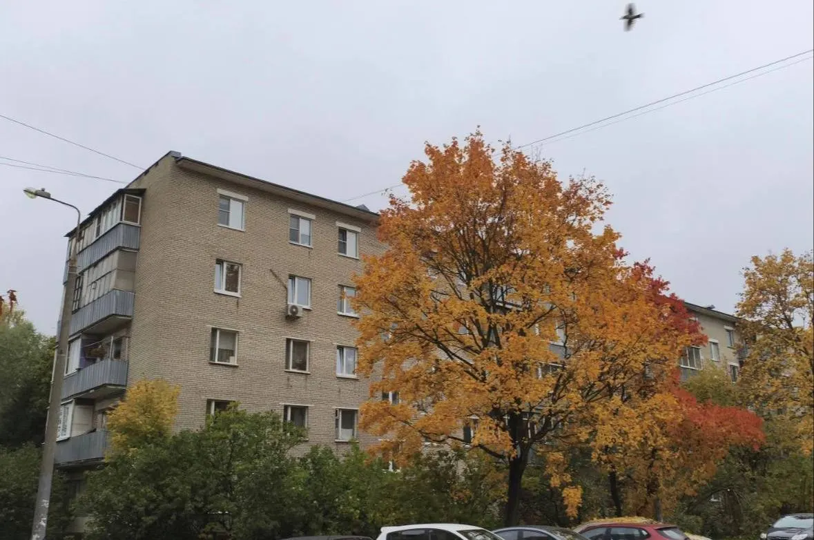 В Москве, в районе Крюково (Зеленоград), произошел взрыв в квартире; погиб 80-летний мужчина, 15 жильцов эвакуированы, саперы обследуют дом.
