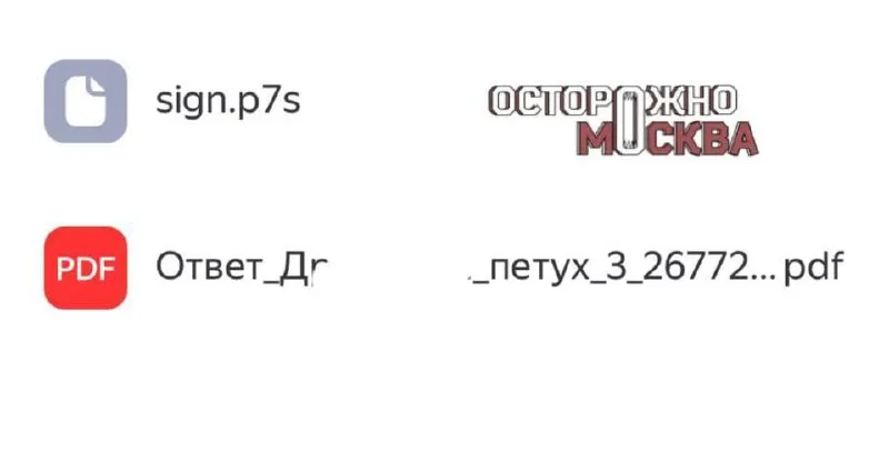 Москвич подал жалобу через электронную приемную МВД по поводу задержки восстановления паспорта. В ответе упоминаются фамилия заявителя и неприемлемое слово; проверка нарушений не выявила.