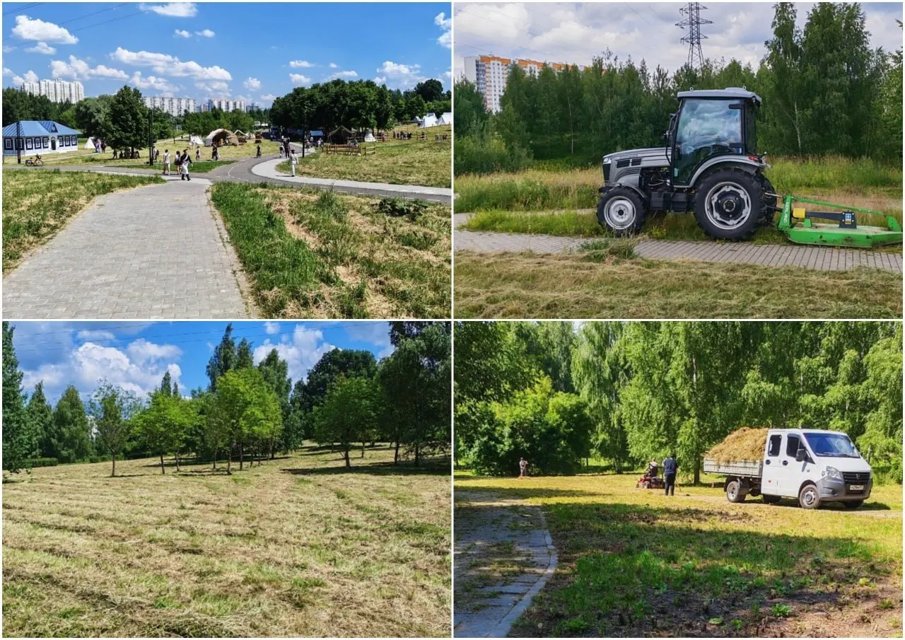 Летом 2026 года в Митинском парке зафиксировали выкашивание разнотравья; прокуратура потребовала вернуть часть лугов и привести учет природных территорий в соответствие.