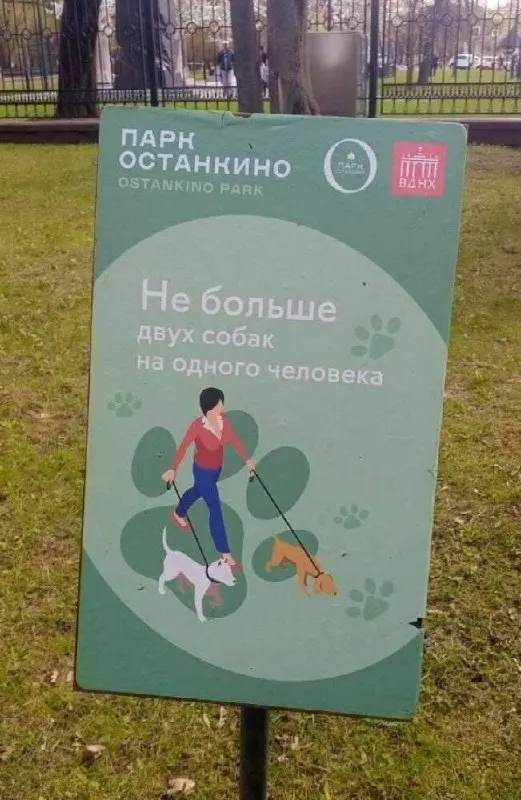 В Останкинском парке ввели правило: одному человеку разрешено выгуливать не более двух собак. Ограничение не зависит от размера животного.