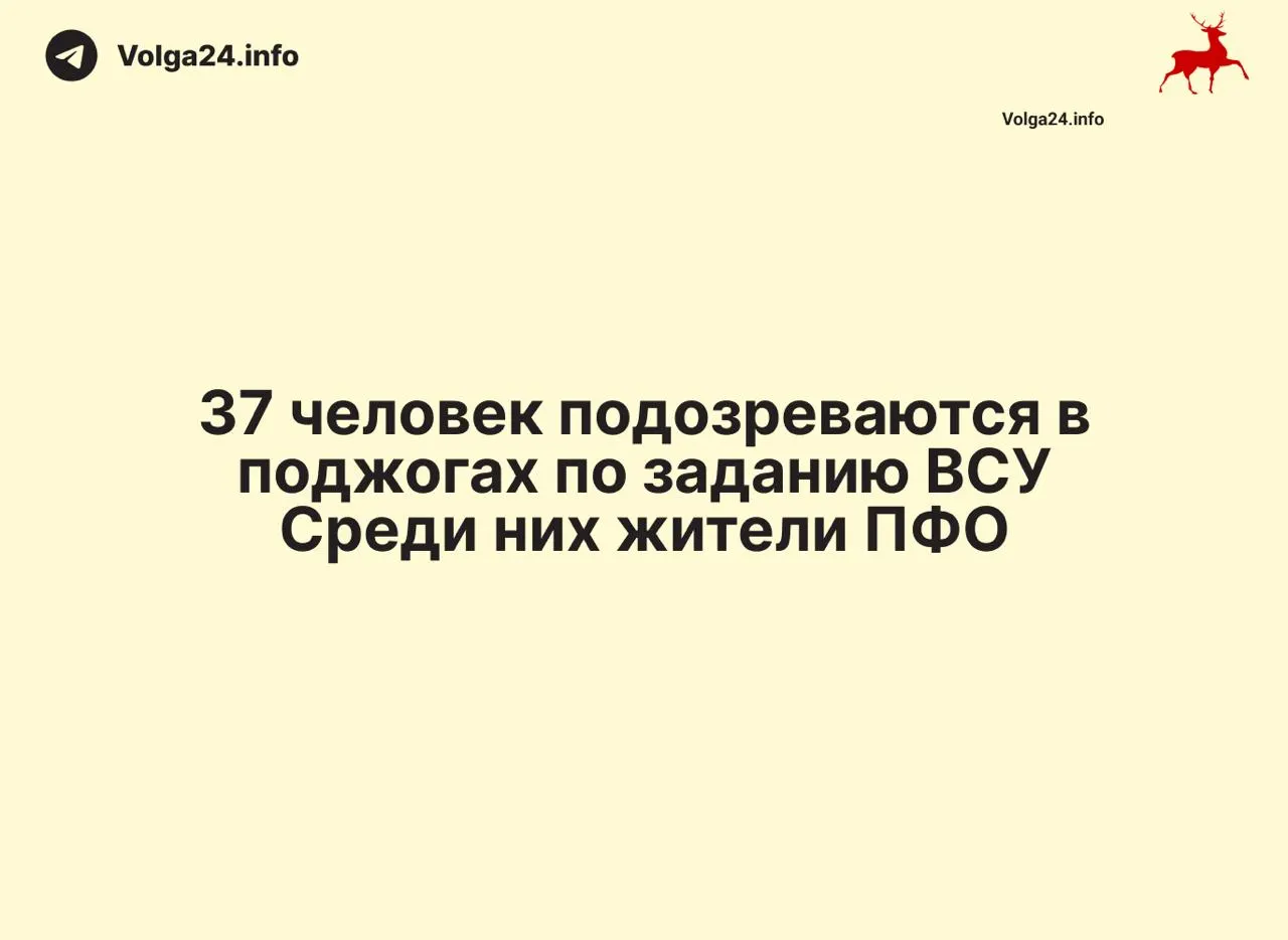 По всей России прошли массовые задержания: обвиняют в управлении сим-боксами, передаче номеров и организации поджогов инфраструктуры по заданию украинских спецслужб.