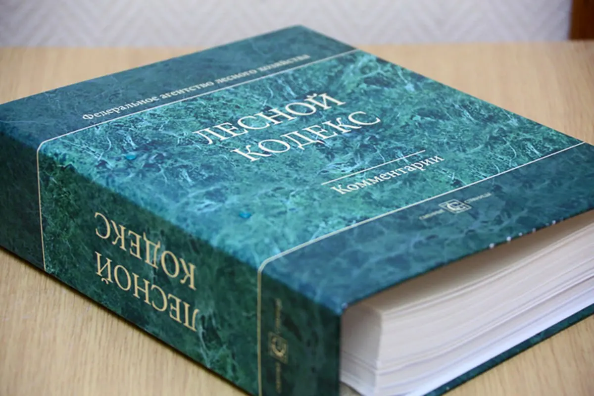 С момента принятия в 2006 году в Лесной кодекс внесли 79 наборов поправок, последний из которых вступит в силу в сентябре. Эксперт по лесному хозяйству считает, что кодекс утратил актуальность и требует полной переработки.