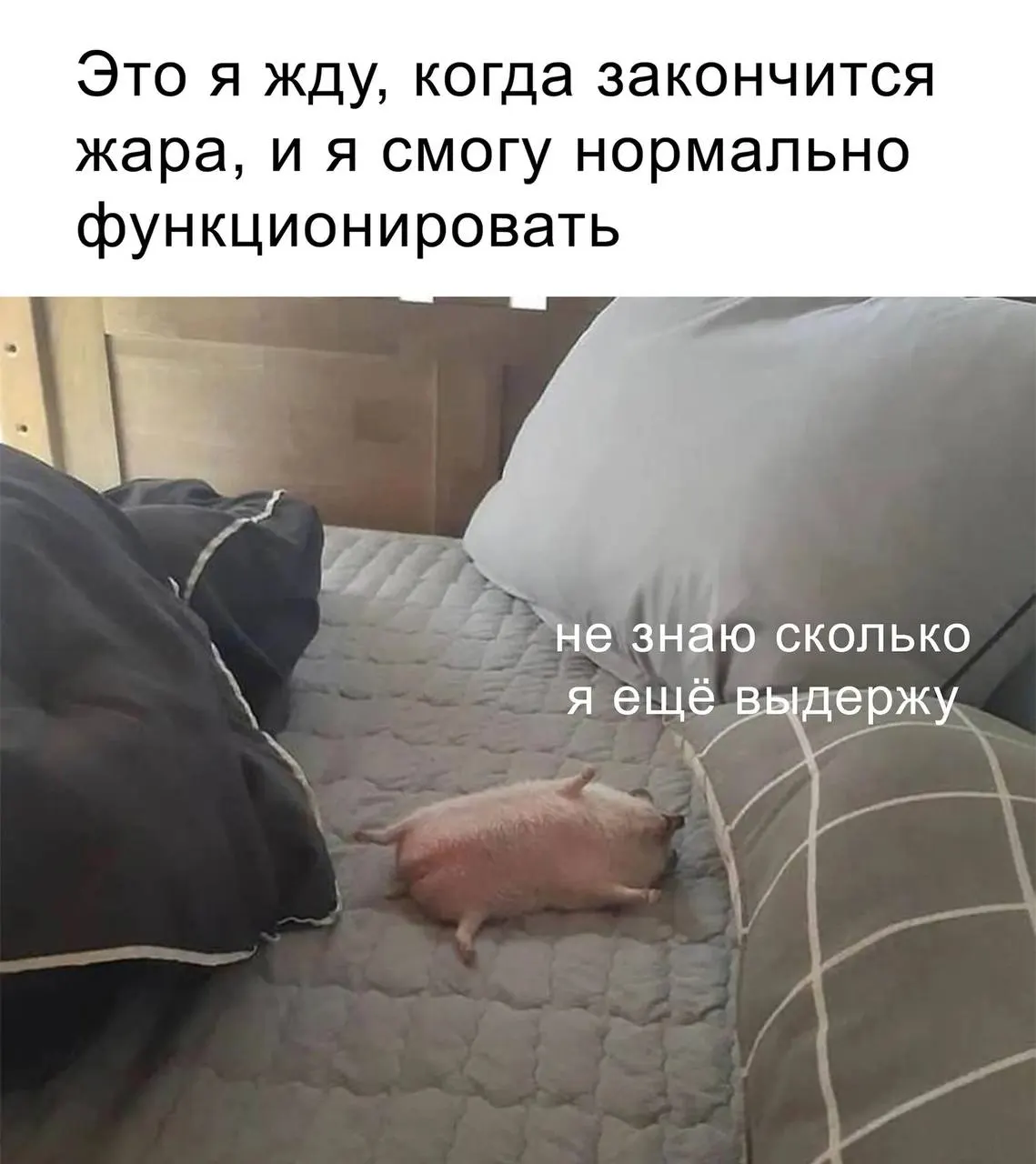 Температура в столице может подняться до +32°C и побить очередной недельный рекорд. Вечером и в пятницу ожидаются дожди с грозой; в выходные станет прохладнее — до +20…23°C.