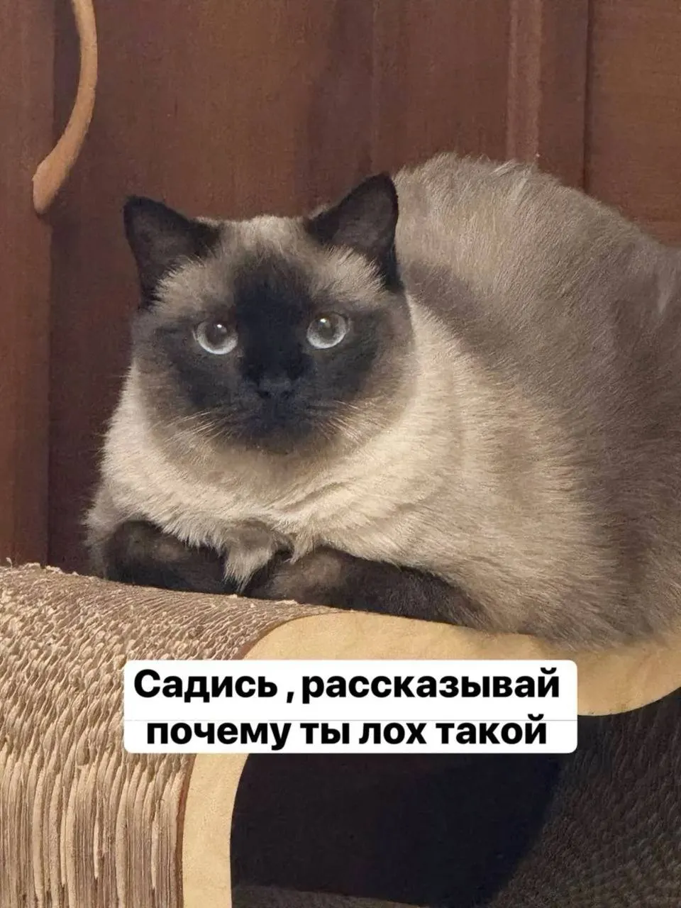 Мошенники, представившись сотрудниками госорганов, потребовали показать квартиру по видеосвязи, заметили наличные и убедили передать деньги курьеру.