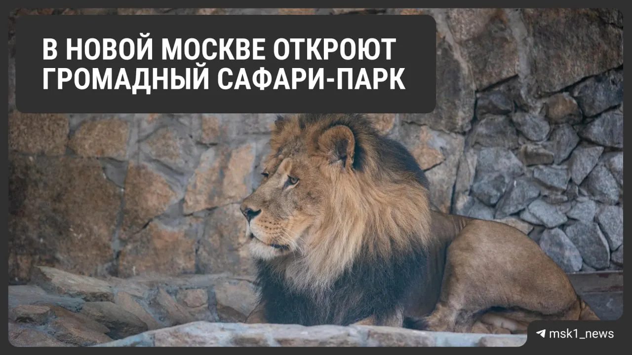 Парк на Калужском шоссе начнёт работу 15 мая; на территории будут крытые павильоны, джунгли с дикими животными и льготы по билетам для детей и людей с инвалидностью.