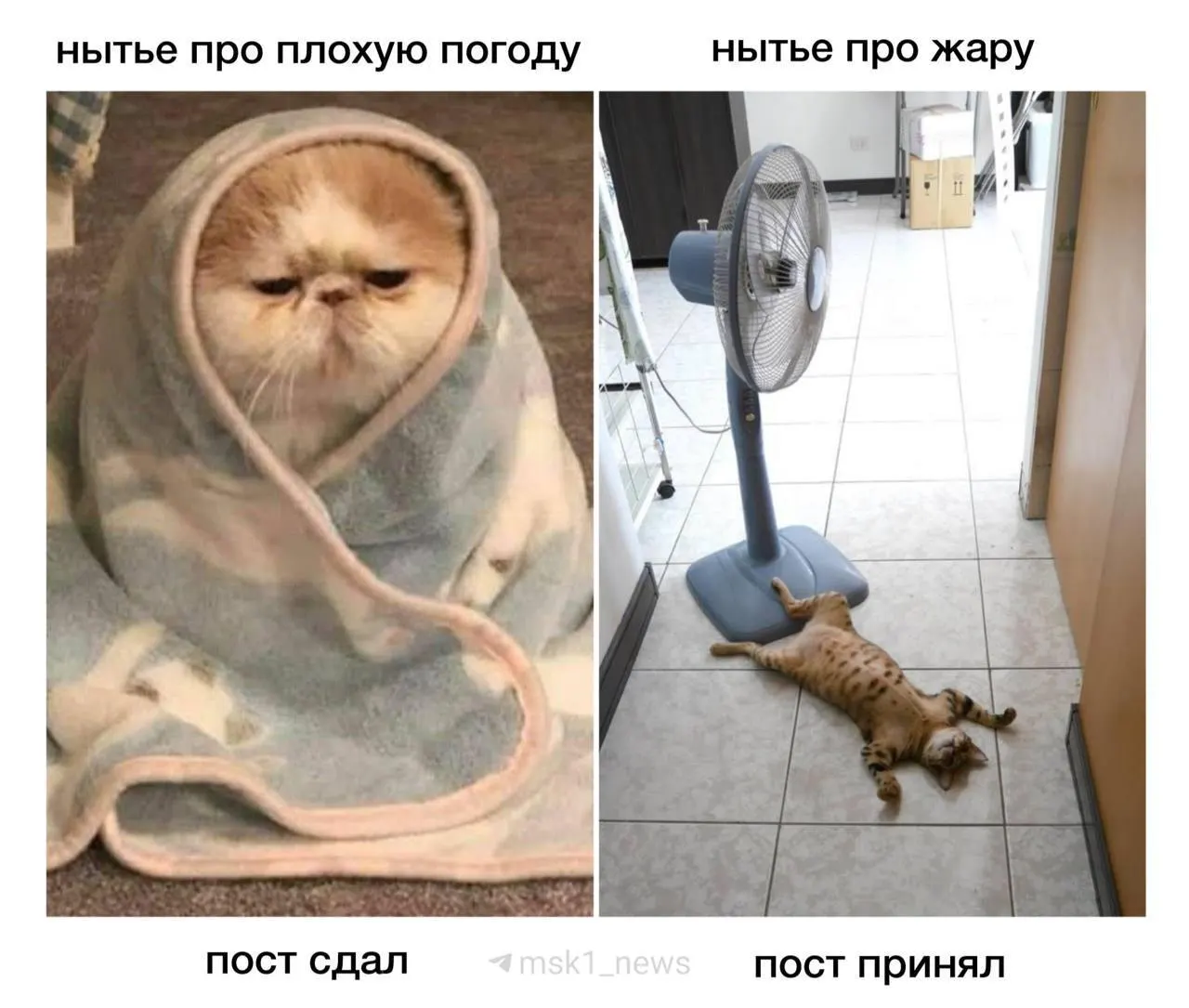К 14:00 в столице температура поднялась до примерно +30 °C. На следующей неделе синоптики прогнозируют похолодание до около +16 °C и дожди; метеоролог предупреждает о резком перепаде.