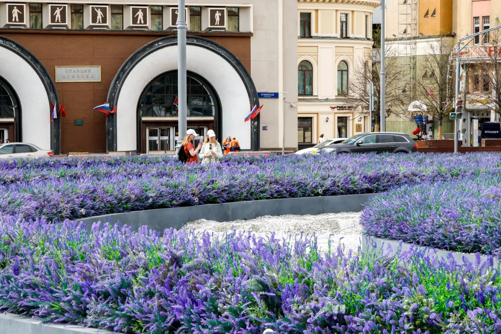 На Лубянской площади в Москве установили масштабные клумбы с фиолетовыми искусственными цветами. Одни прохожие радуются декору и считают его атмосферным, другие критикуют траты и отмечают запах пластика; специалисты спорят о безопасности и экономии.