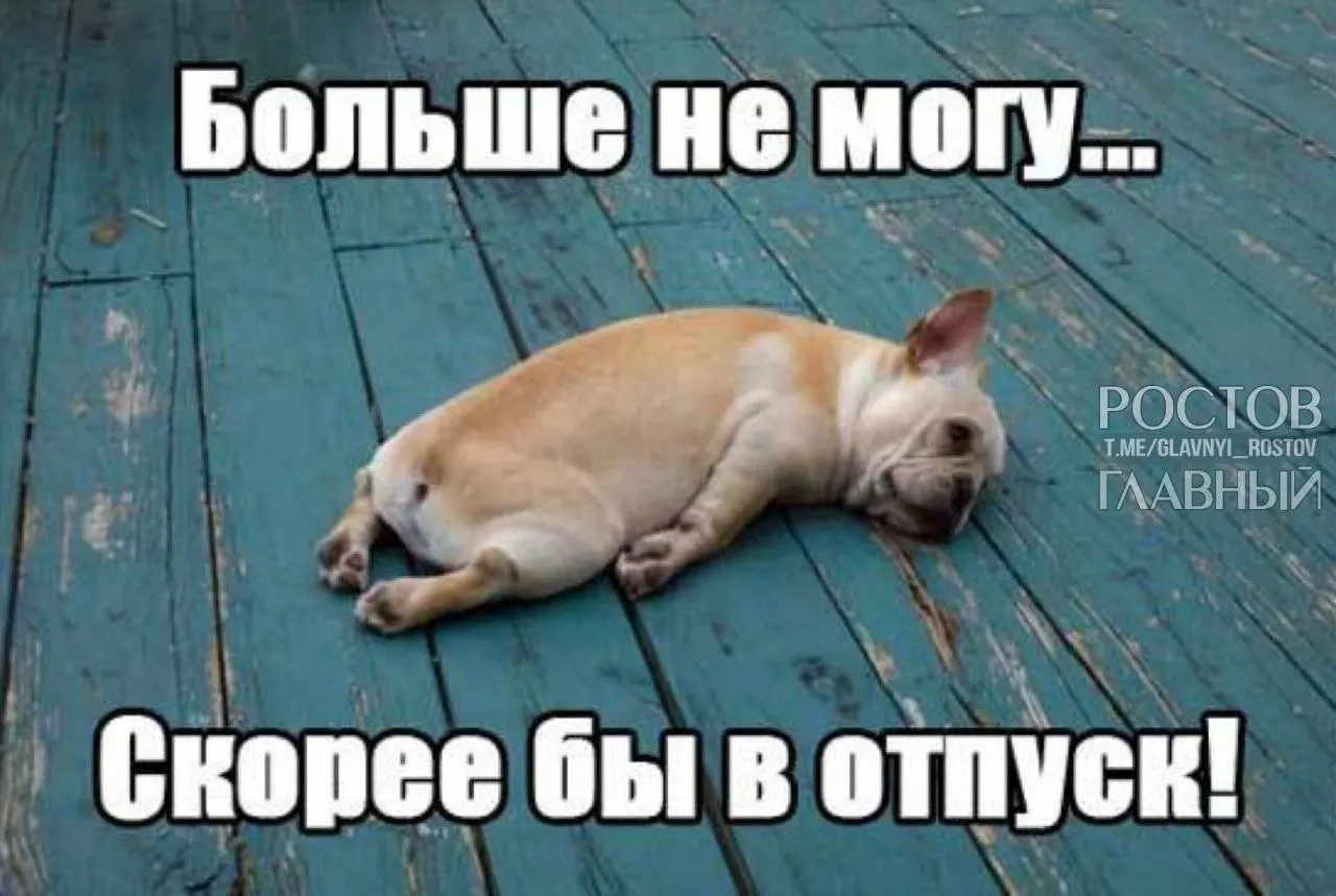 Инициатива депутатов предполагает расширение минимального ежегодного отпуска до 35 дней, чтобы компенсировать включённые в него выходные и снизить риск выгорания.