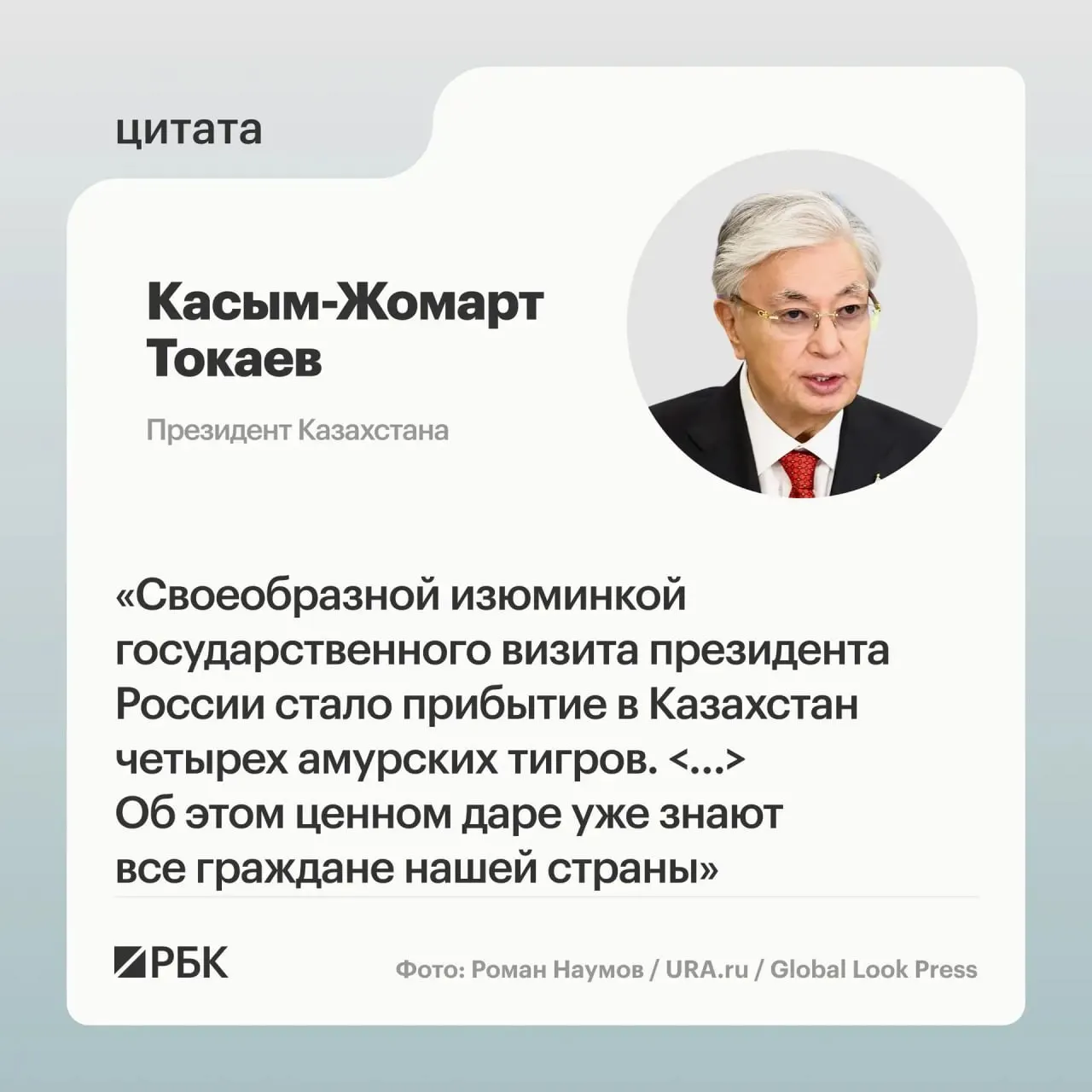 Передача амурских тигров Казахстану состоялась после обращения республики к России с просьбой помочь в возрождении вида — Москва откликнулась.
