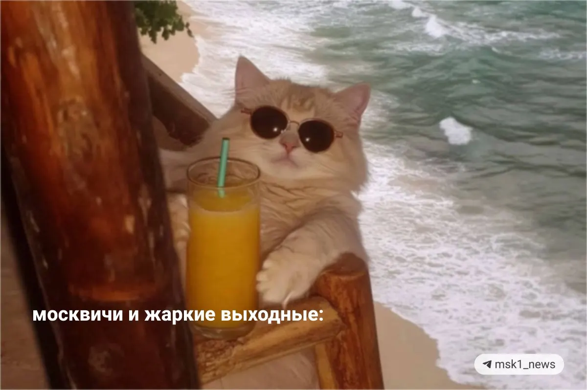 В реках Москвы и Подмосковья вода прогрелась до +17–23 °C — в некоторых местах теплее, чем в Сочи. Жара продержится до воскресенья, но три городских пляжа закрыты по предписанию Роспотребнадзора.