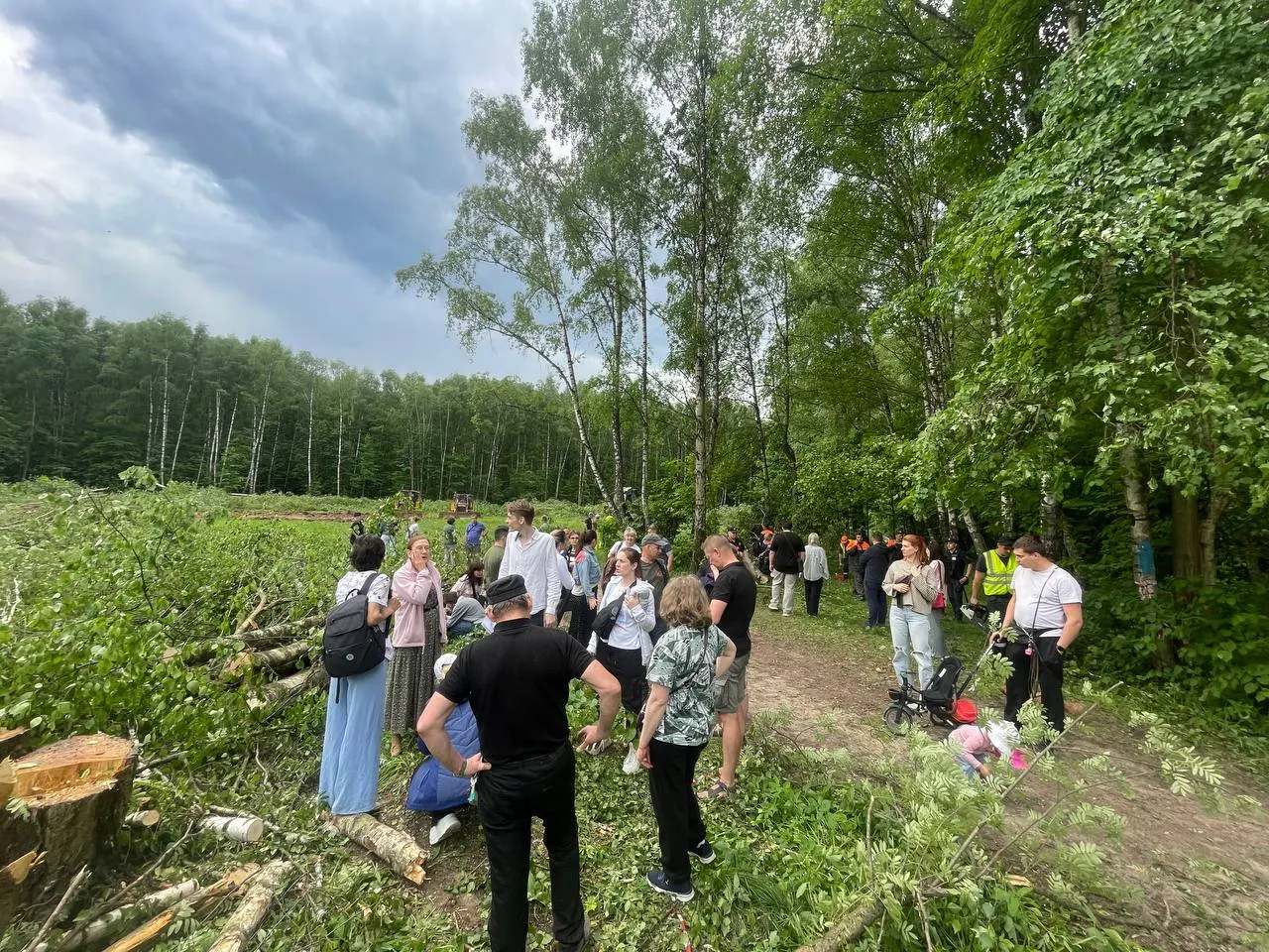 Департамент природопользования Москвы привлёк к ответственности 214 должностных и юридических лиц за порчу зелёных насаждений — сумма штрафов составила 20,5 млн ₽, подрядчикам направлены требования о возмещении ущерба на 231 млн ₽.