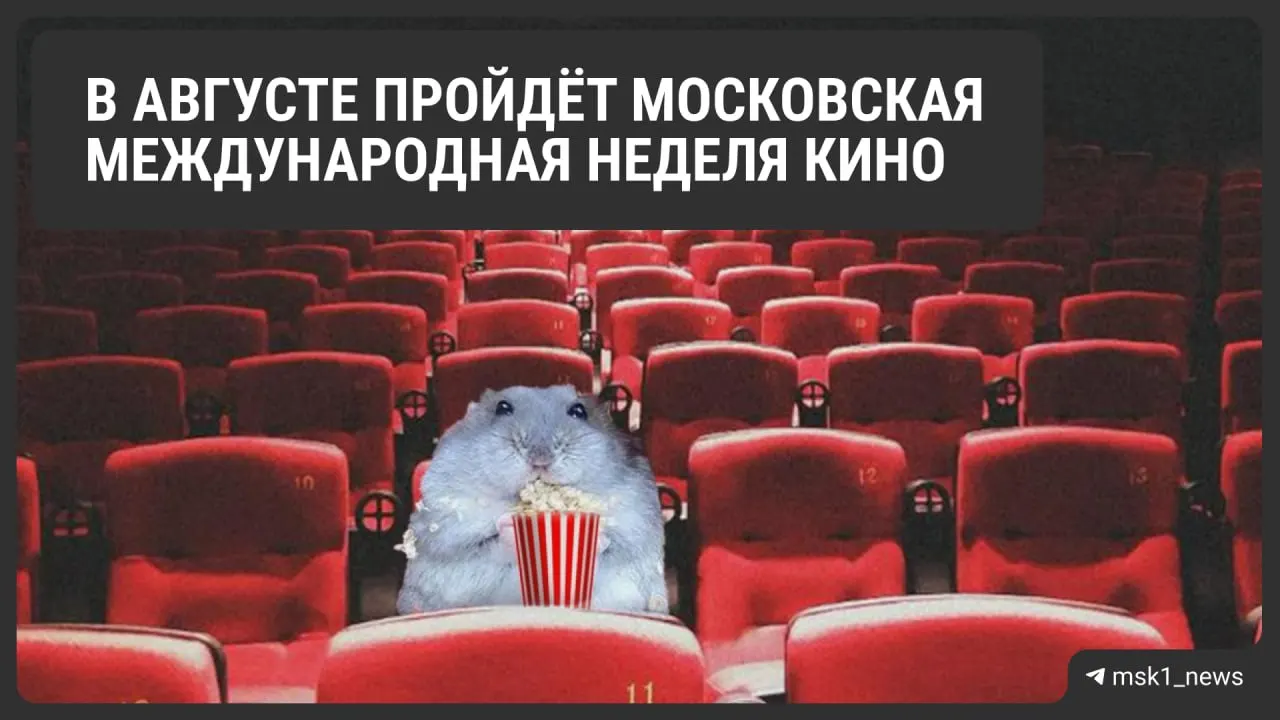 Фестиваль предлагает показы отечественных и зарубежных картин, встречи с кинодеятелями, лекции и мастер‑классы на нескольких площадках города.