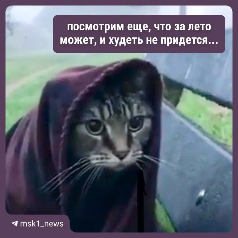 Конец июля принесет в столицу сильные дожди и грозы: прогнозируют до 80–88 мм осадков. Подробный погодный прогноз по дням.