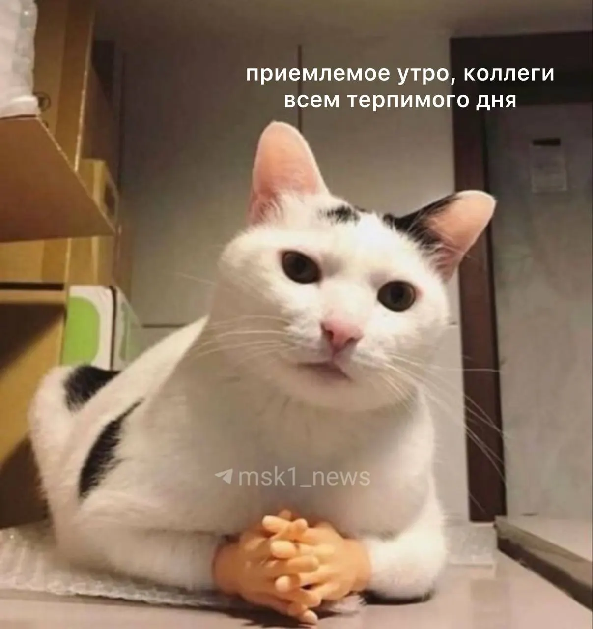 Воздух прогреется до +24°C, ветер до 6 м/с; утром возможен кратковременный дождь.