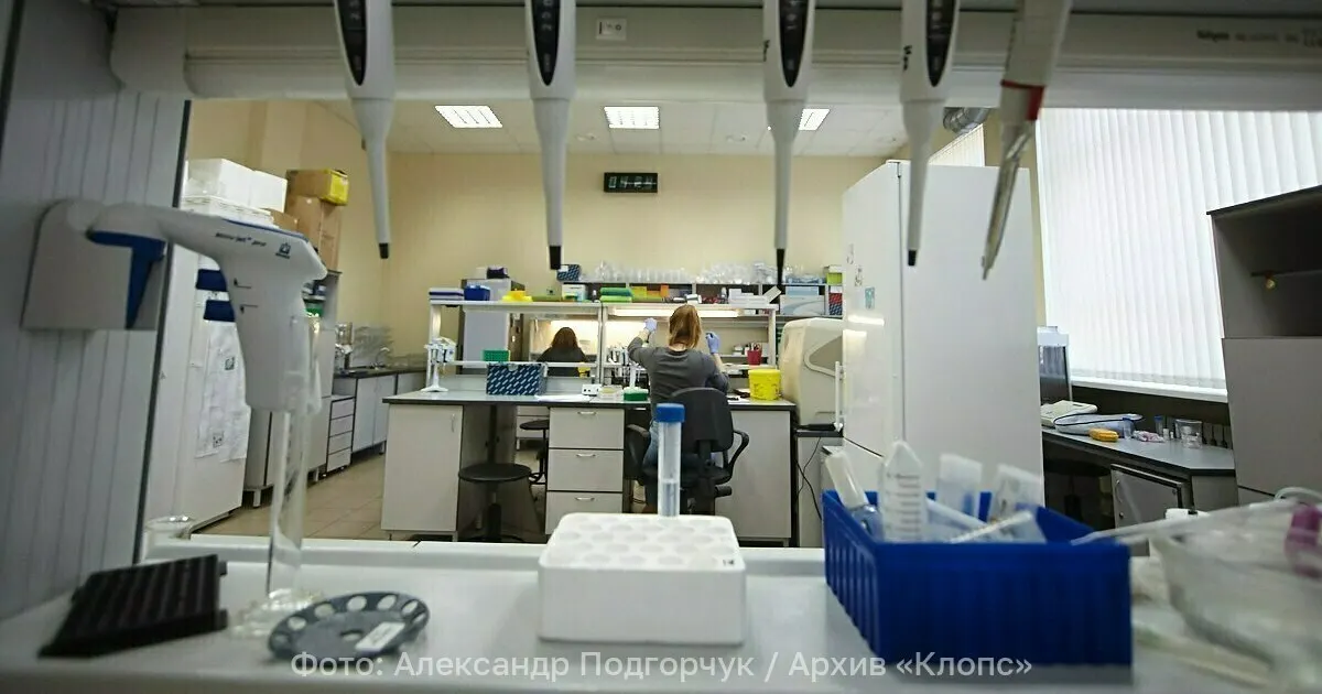 Исследователи предложили получать экологичное моторное топливо из микроводорослей рода Scenedesmus — топливо обещают сделать эффективным и не требующим пахотных площадей.