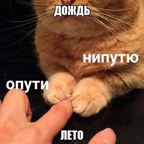В Москве сохраняется пасмурная погода, ожидаются небольшие дожди и отдельные грозы в области, дневная температура до +21°C; на выходные прогнозируется шторм.