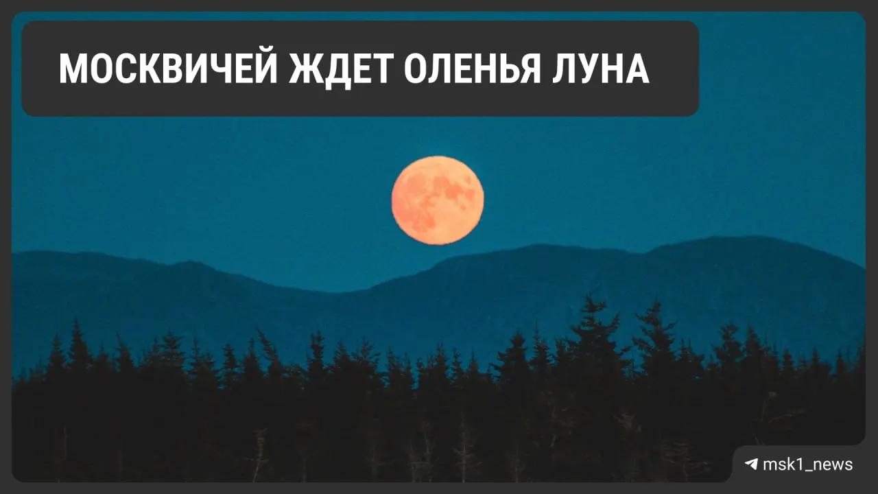 Полнолуние июля, известное как Оленья Луна, поднимется над горизонтом вечером 29 июля — в Москве спутник появится примерно в 21:26; у линии горизонта он может выглядеть розово‑оранжевым.