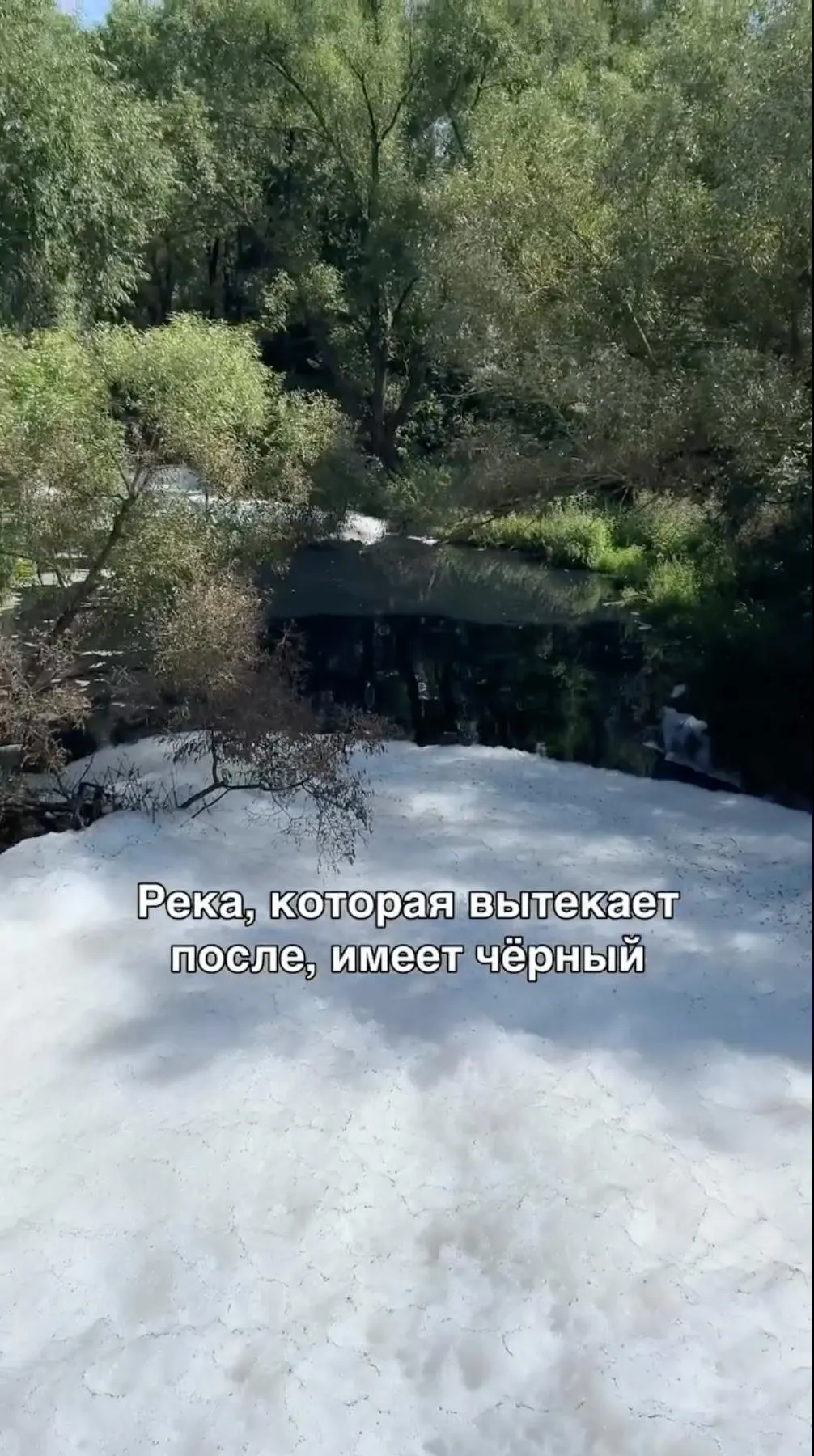Местные власти локализуют загрязнение и испытывают новую биотехнологию для разложения химических соединений, чтобы снизить риски для экосистемы и жителей.
