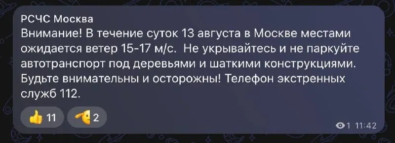 Сильный ветер до 15–17 м/с ожидается до пятницы; москвичей просят соблюдать осторожность.