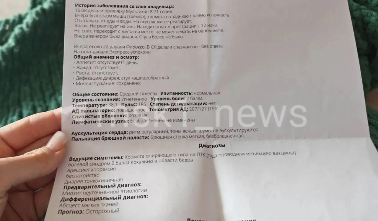 У нескольких питомцев после прививки наблюдаются выраженные симптомы: судороги, сильная жажда и изменения поведения; производитель призывает к осторожности и продолжает проверку партии.