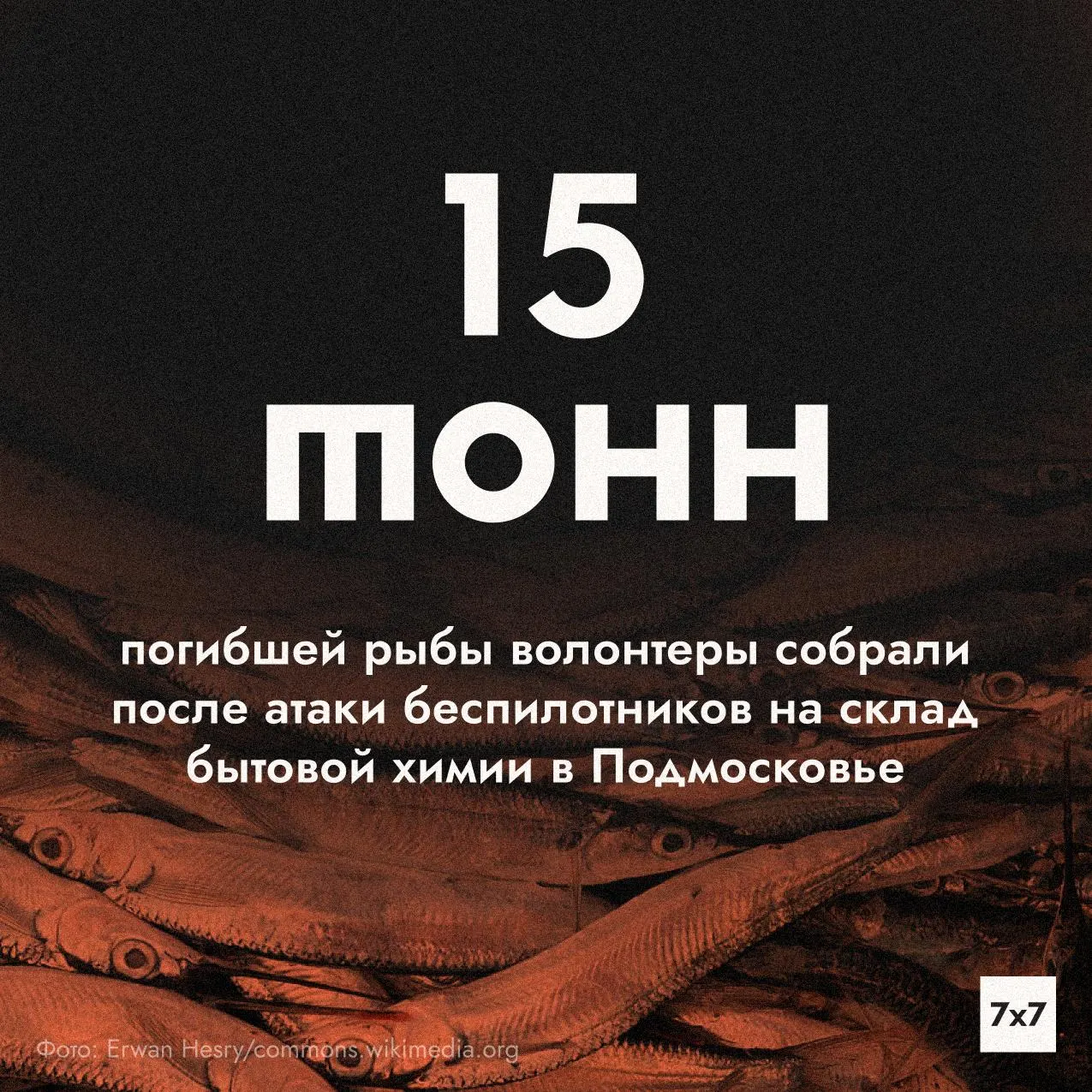 После атаки беспилотников на склад бытовой химии жители региона сталкиваются с загрязнением реки Гнилуши и массовой гибелью животных; власти организовали подвоз воды и работы по очистке водоёмов.