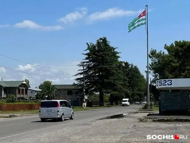 Двухлетняя девочка из Москвы погибла после падения в источник с сероводородом в Абхазии; момент падения не заметили родители.