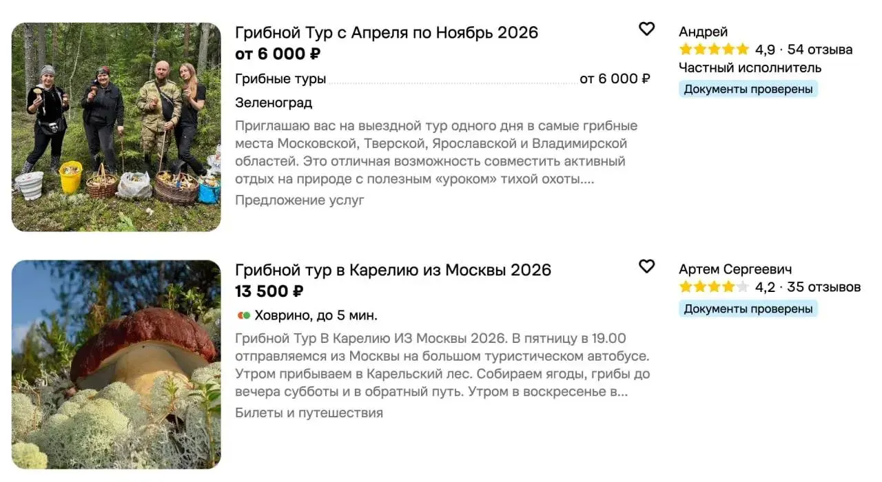 В августе россияне всё чаще выбирают грибные экскурсии, особенно в Москве и Подмосковье. Средняя цена тура — около 6100 ₽.