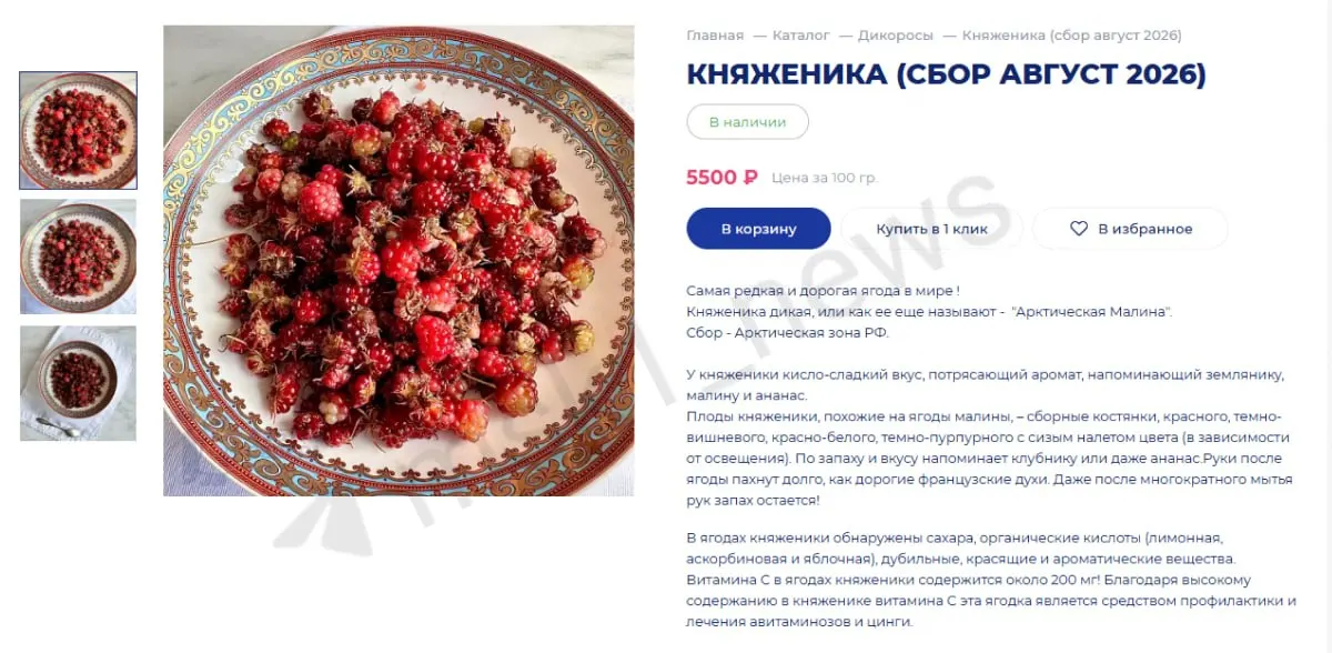 В Москве продаётся княженик — дорогая ягода: за 100 г просят 5500 рублей, и цена вызывает бурю обсуждений.