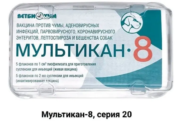 После прививок серий вакцины «Мультикан-8» зафиксированы гибели собак в нескольких регионах; власти рассматривают варианты проверки производителя и возможного нарушения технологии.