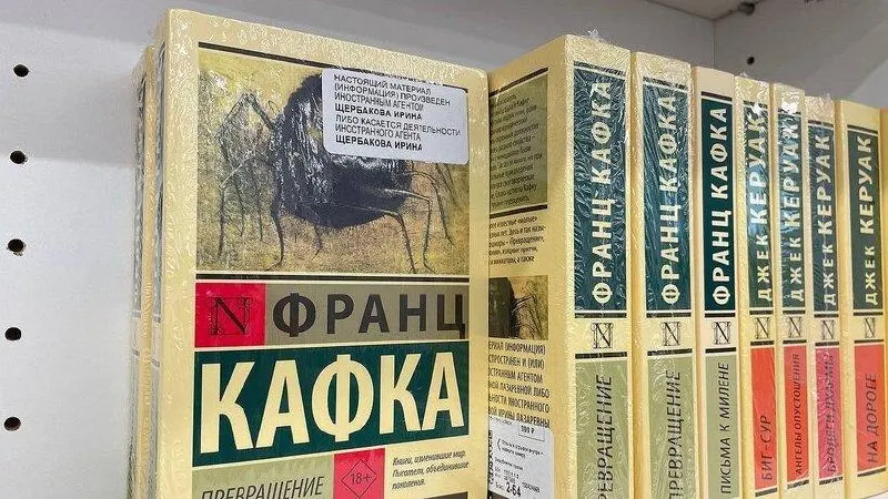 Рассматривается возможность легализации таких книг и последствия для библиотек и издательств, включая возможные изменения в законодательстве.