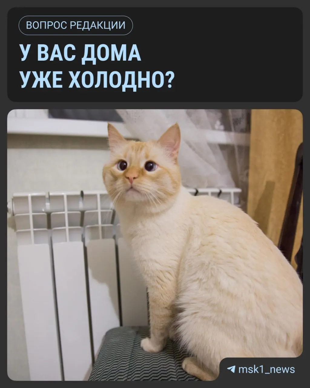Похолодало в столице, и обсуждают начало подачи тепла. По нормативам тепло подают, когда среднесуточная температура держится ниже +8 °С в течение пяти дней подряд; прошлый сезон стартовал 24 сентября.