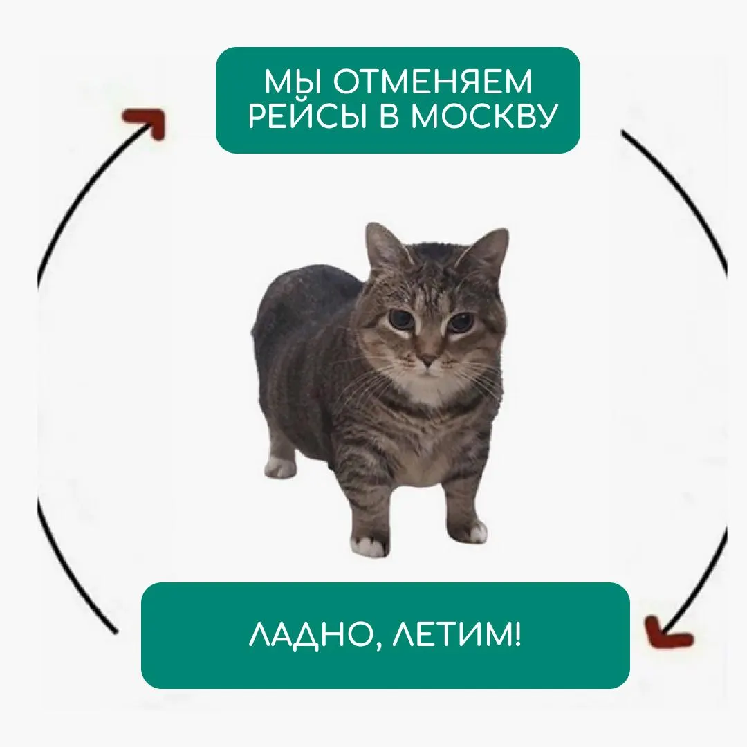 Через несколько часов после введения запретов авиакомпания сняла ограничения на полёты между Россией и Танзанией; рейсы начнутся с 7 сентября.