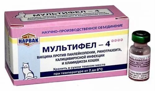 После вакцинации вакцинами VetBiochem зафиксированы гибель около 300 собак, а владельцы кошек сообщают о тяжелых реакциях. Ситуация охватывает регионы страны, вакцина заявляется как безопасная замена импорту, но данные вызывают тревогу.