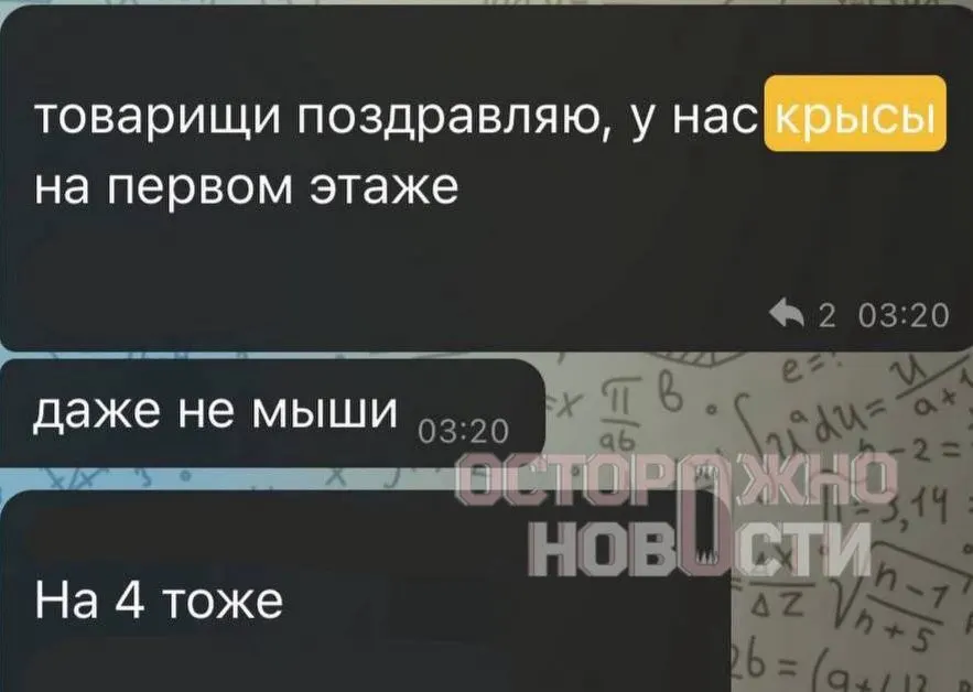 Студентов ВГИК могут отчислить из-за жалоб на крыс в общежитии в Москве; проблема антисанитарии вызывает обращения к руководству.