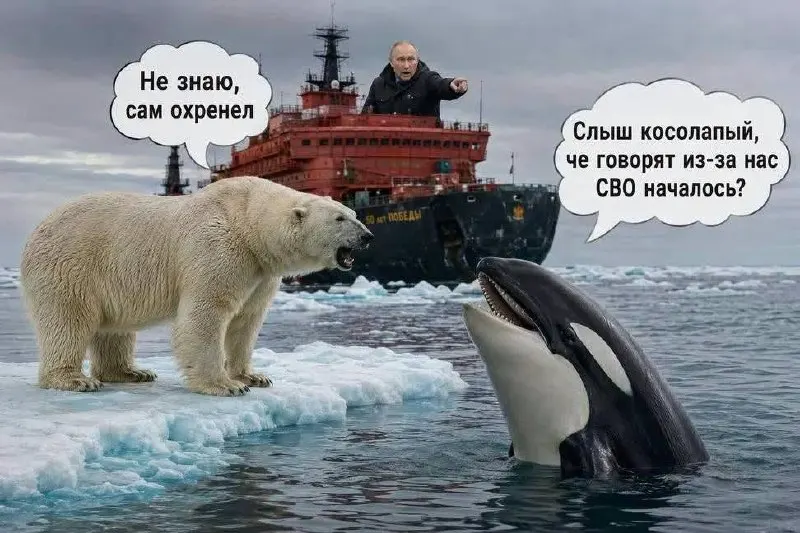 В соцсетях распространяются мемы и критика вокруг заявлений Путина о причинах начала войны; пользователи используют образные сцены и обсуждают правдивость тезисов.