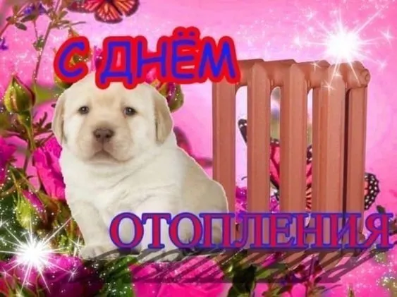 Сначала тепло подключают к школам, детсадам и больницам, а затем — в жилые дома; МОЭК сообщает, что подключение квартир обычно занимает около пяти дней.