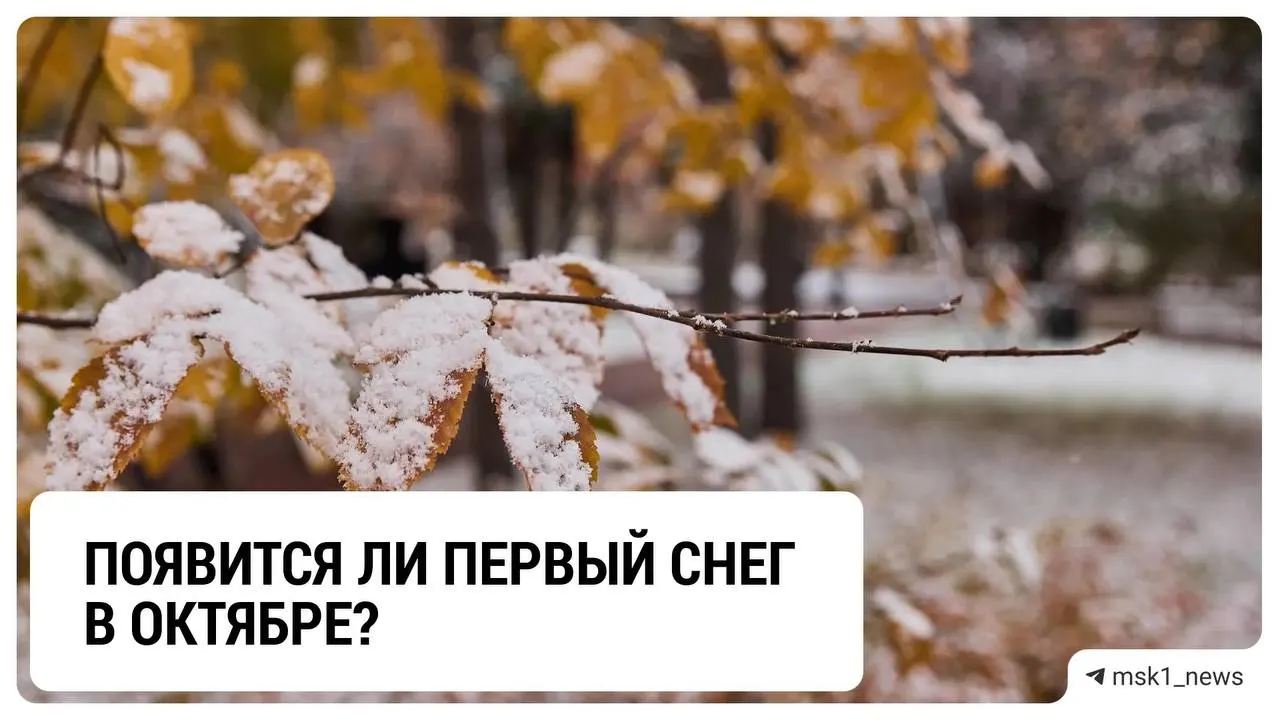 Синоптики прогнозируют вероятность первого снега в столице в ноябре; в Подмосковье возможны редкие снежинки в конце октября, но таяние практически неизбежно.